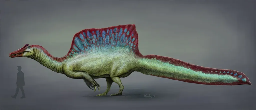 Long-snouted spinosaur with a tall sail and a deep finned tail, in side view