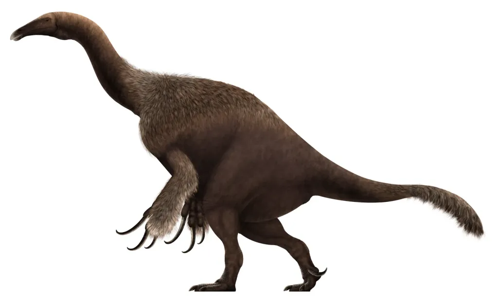 Tall, pot-bellied feathered dinosaur with enormous hand claws, in side view